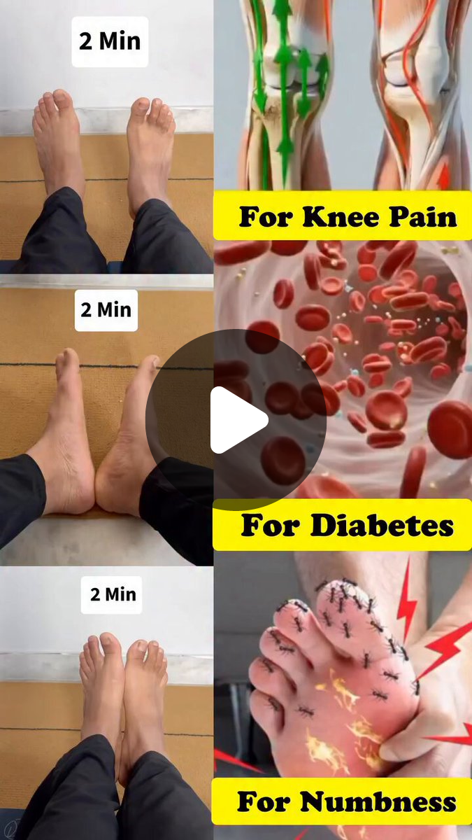 Wellness Xplorer on X: 
