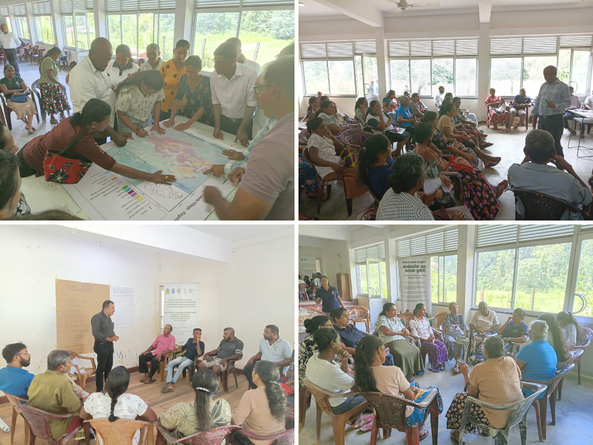 UNDP in Sri Lanka on X: 