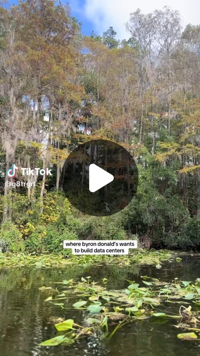 FloridaLiving on X: 