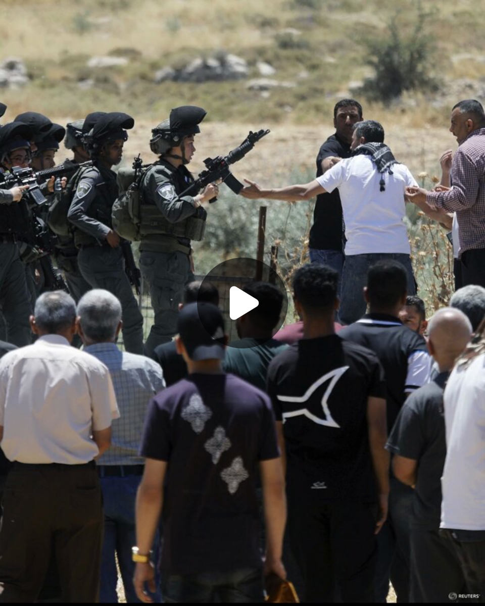 UN Human Rights Council Investigative Bodies on X: 