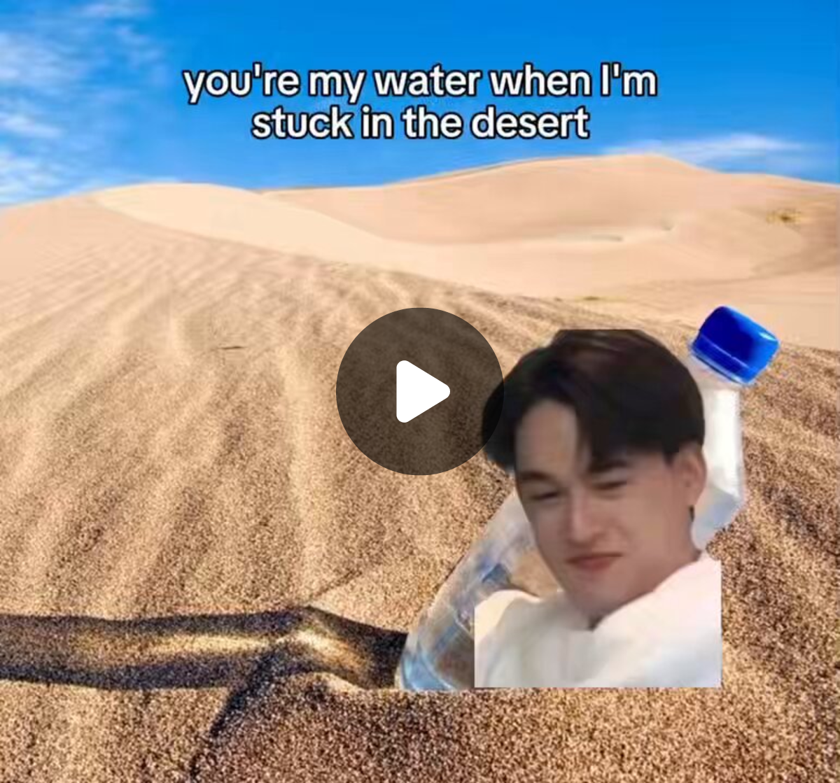 pan on X: "ไม่มีแมวจะอยุ่ยังงายย 😿" / X