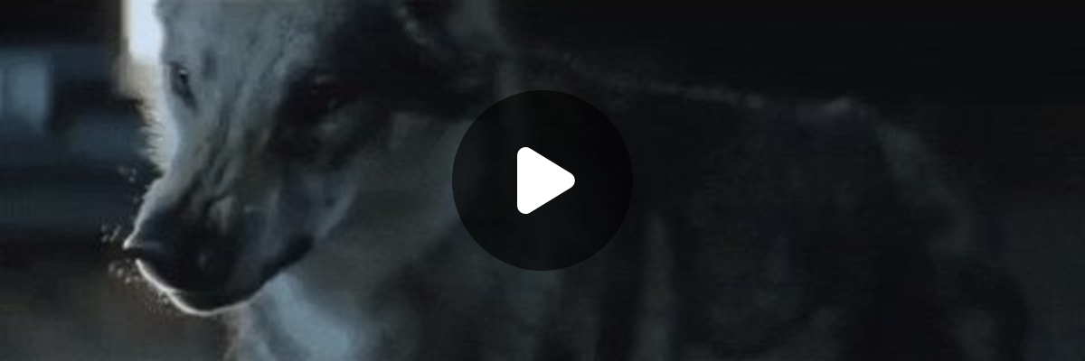 Shiki Katagami ⛩️👻【FIRST STAGE PRODUCTION EN】 on X: 