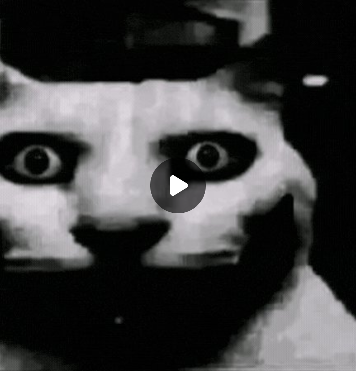 Jäger on X: 