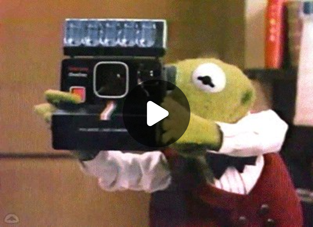 Zi_ananas(lurking mode) on X: 