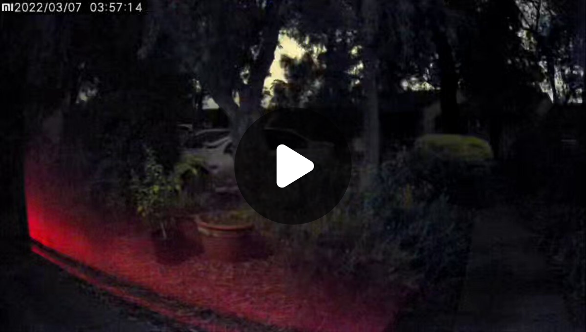 UFOHeatSeeker on X: 