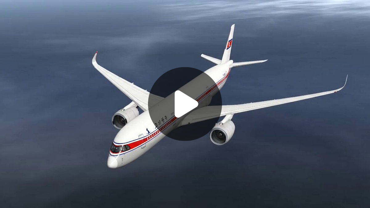 Air Koryo Stewardess on X: 