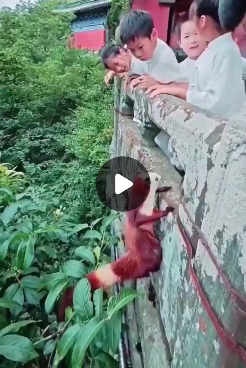 Massimo on X: 