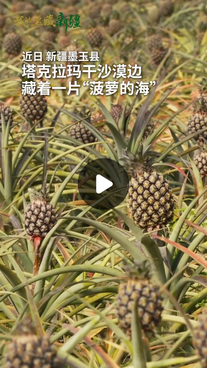 麦迪娜（互fo） on X: 