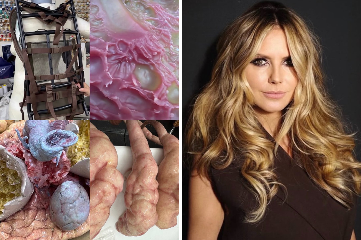 Pop Base on X: "Heidi Klum’s hints for her 2026 Halloween costume." / X