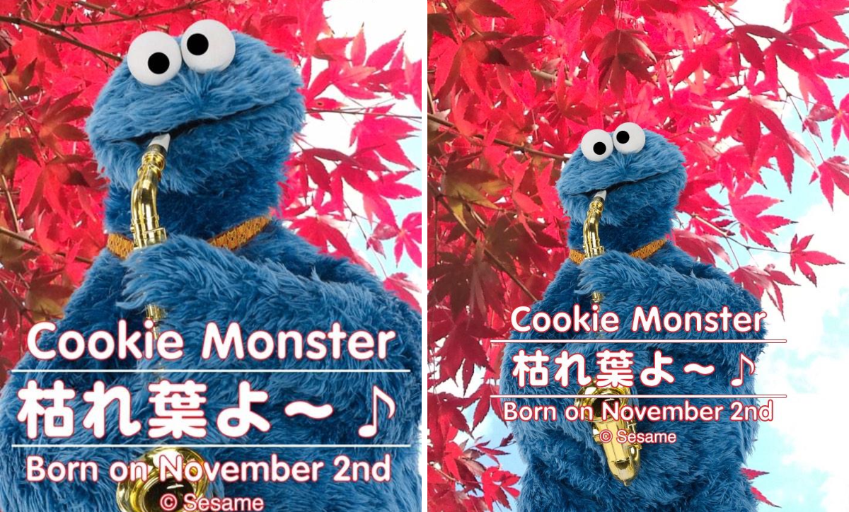 セサミストリート公式 on X: 
