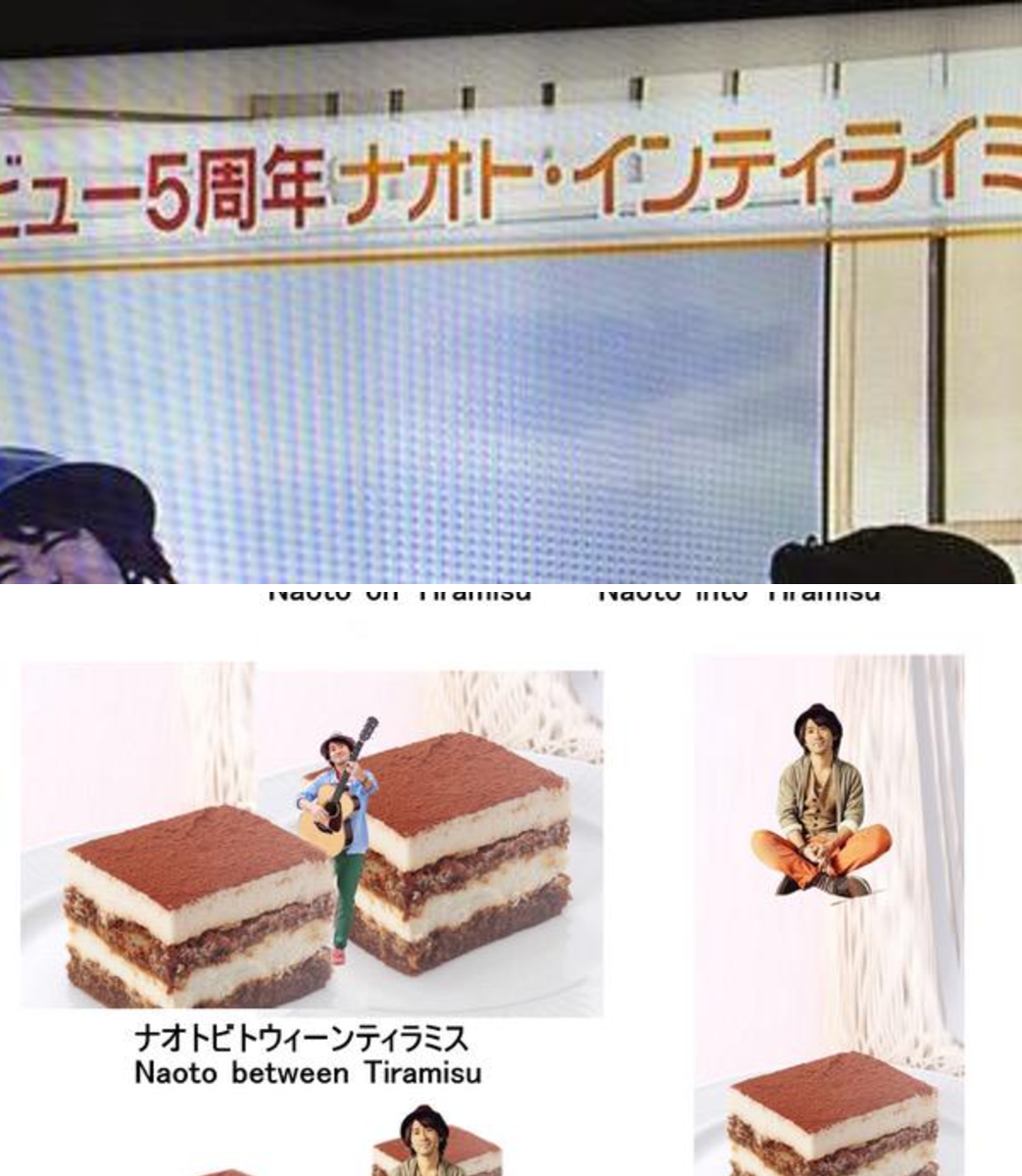 活動歴および当時の関連ビジュアル記録