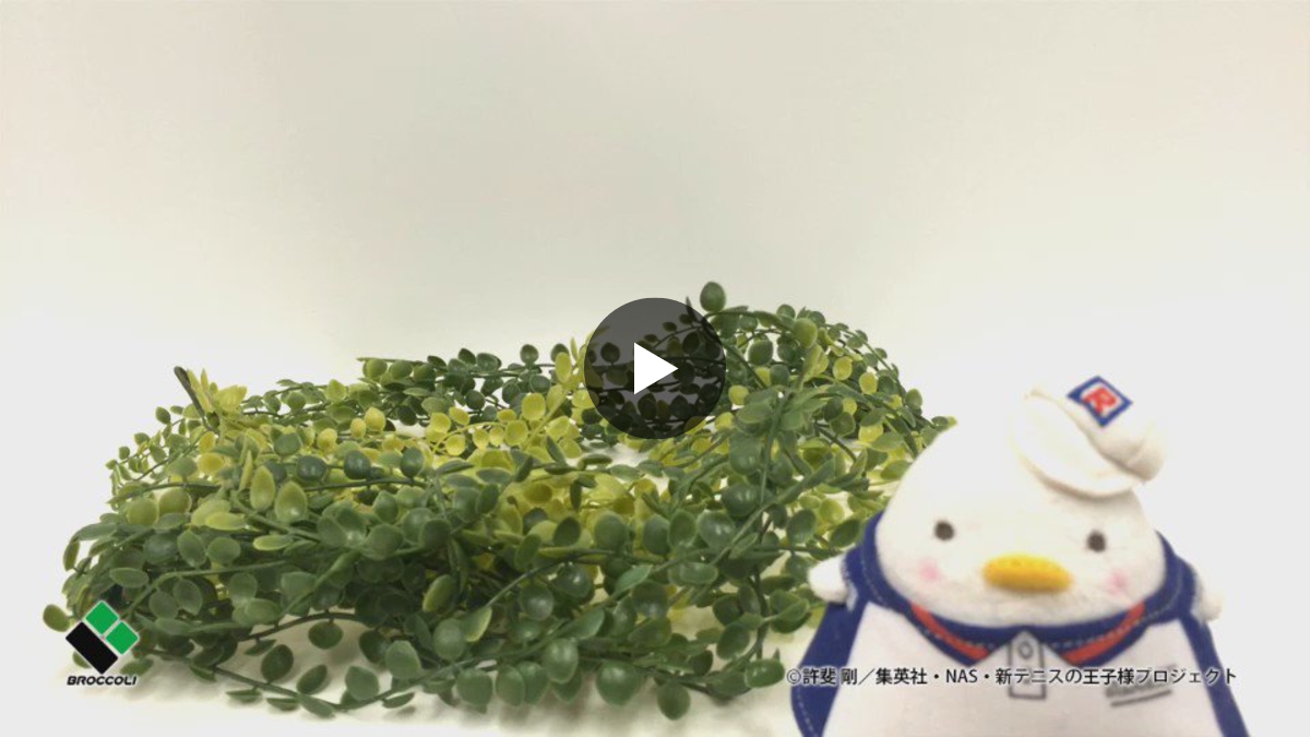 株式会社アニメイト on X: 