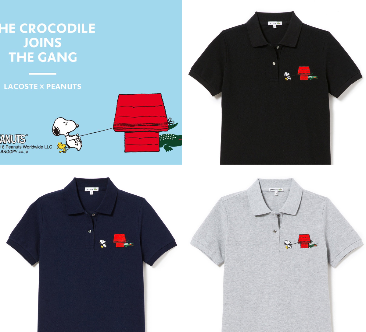LACOSTE JAPAN | ラコステ ジャパン on X: 