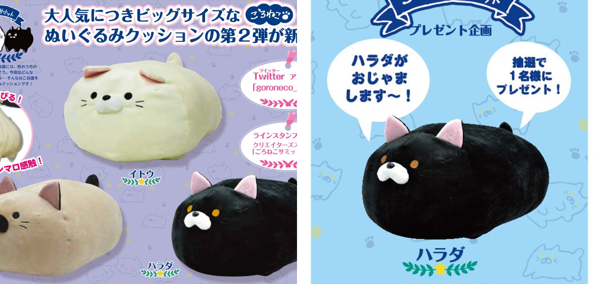 ごろねこサミット イトウ【公式】 on X: 