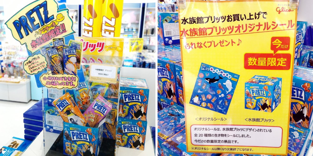 新江ノ島水族館 on X: 