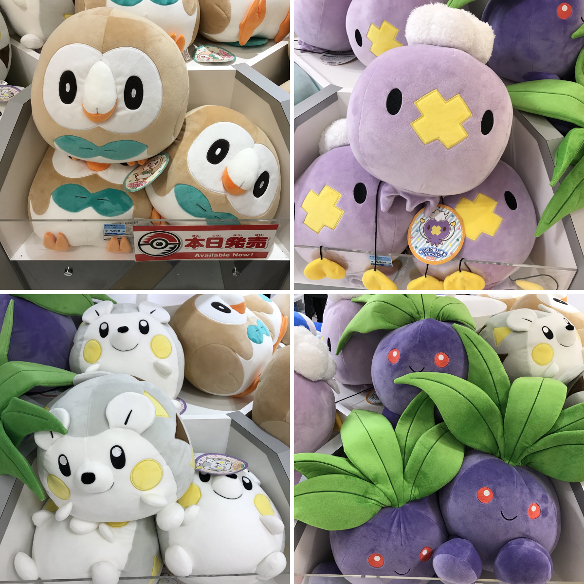 ポケモン情報NAKAYAMA【非公式】 on X: 
