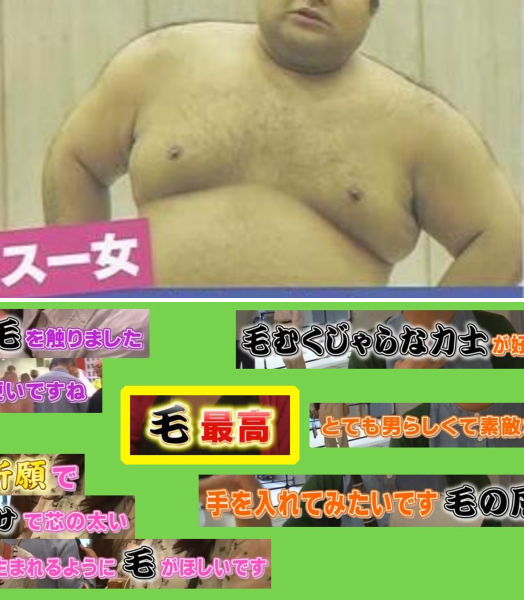 高安 毛