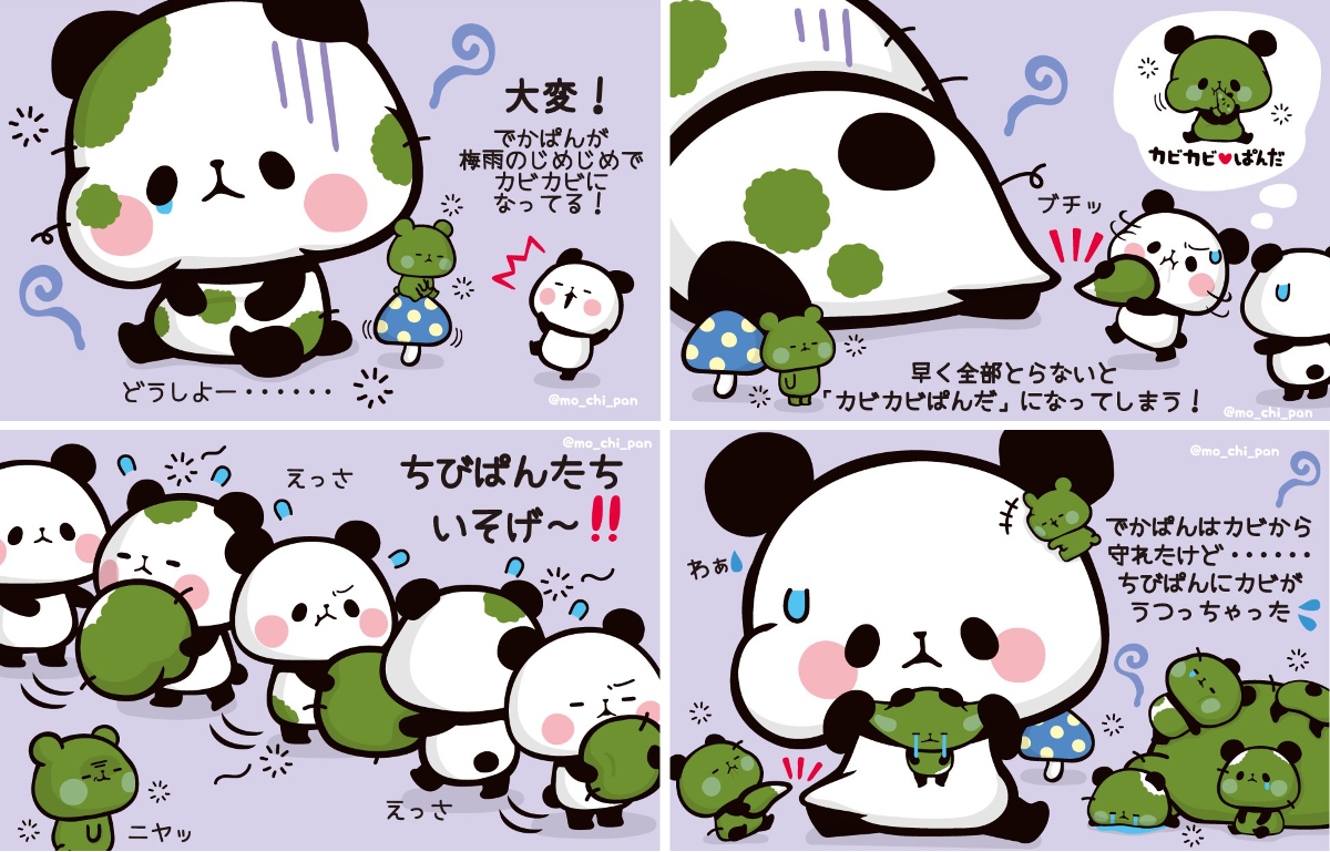 ちびぱんだ様 もちもちぱんだ【公式】 on X: 