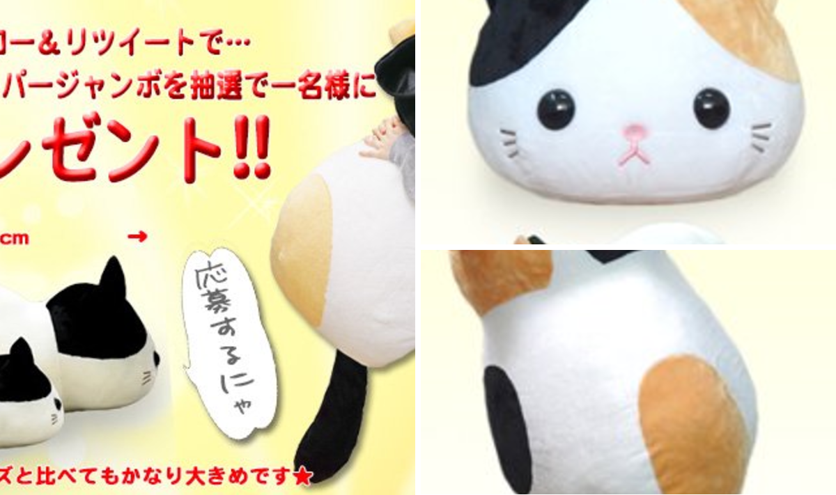アミューズ AMUFUN【公式】 در X: «☆フォロー&RTで応募完了