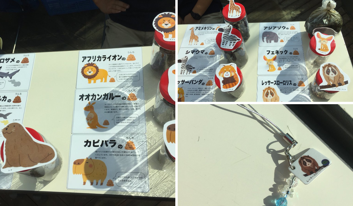 公式】アクアマリンふくしま on X: 