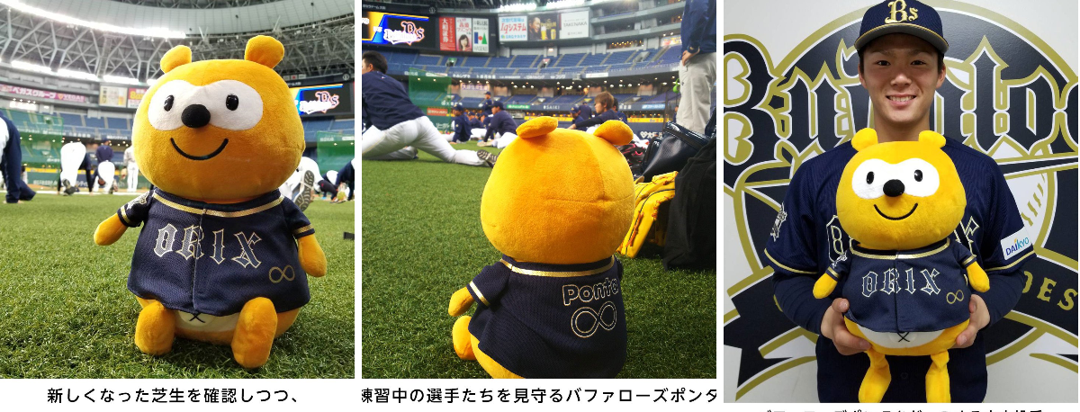 オリックス・バファローズ on X: 