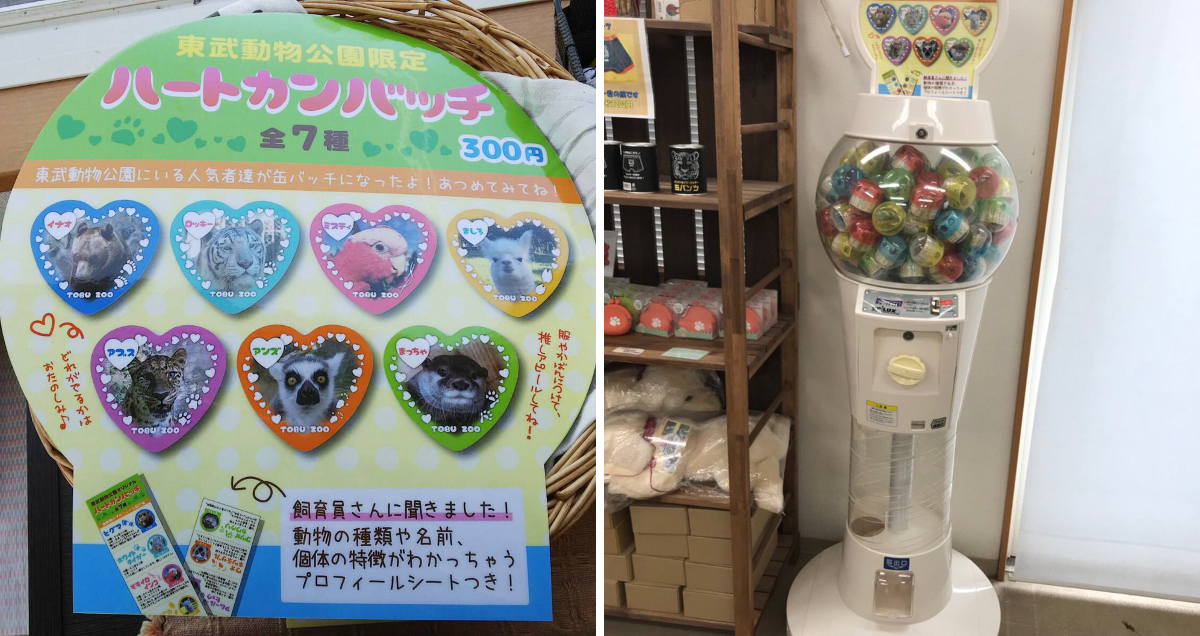 東武動物公園【公式】リュウくん on X: 