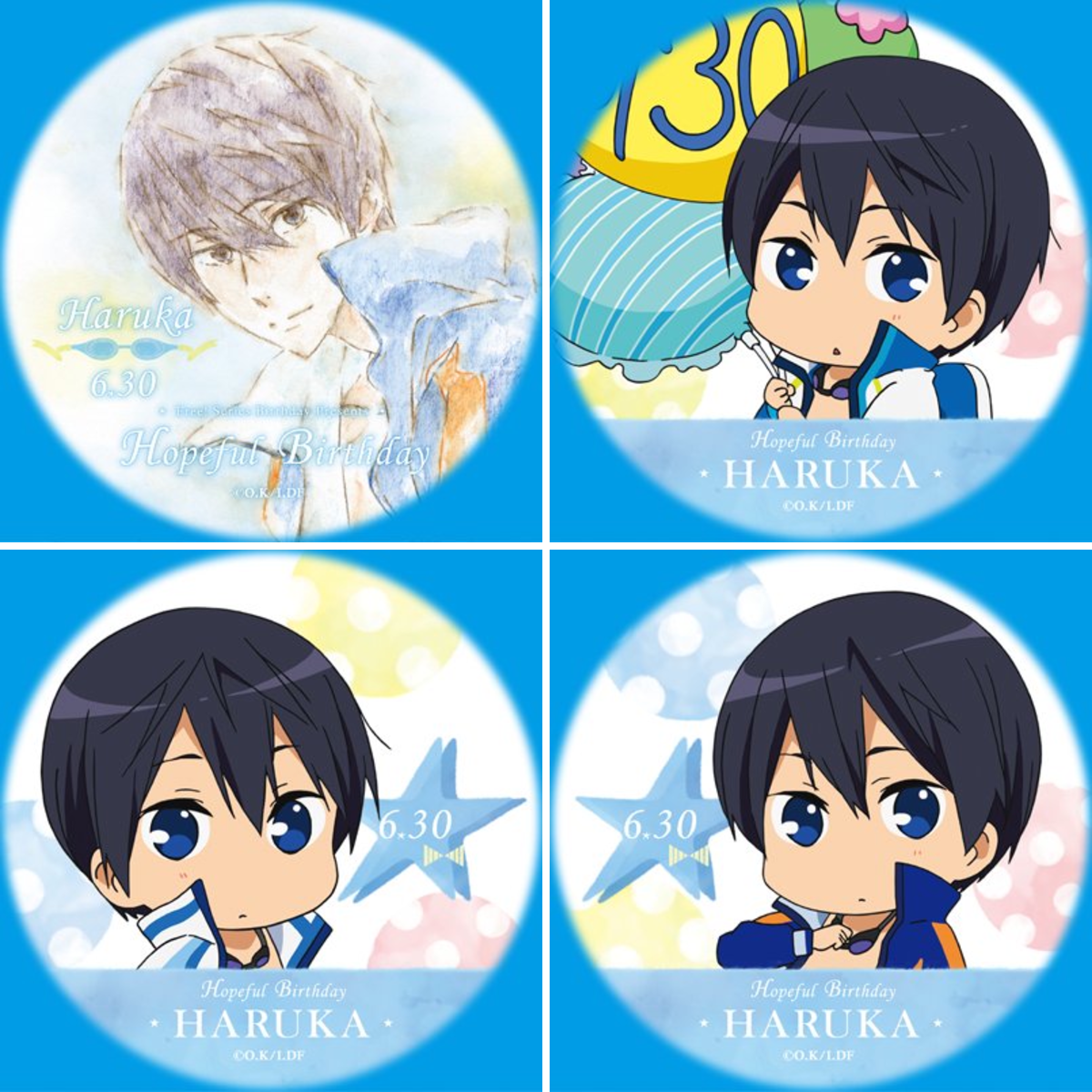 Free! Hopeful Birthday ボイスカードアルバム 郁弥 Free 遙 Hopeful Birthday ボイスカードアルバム Free! Hopeful
